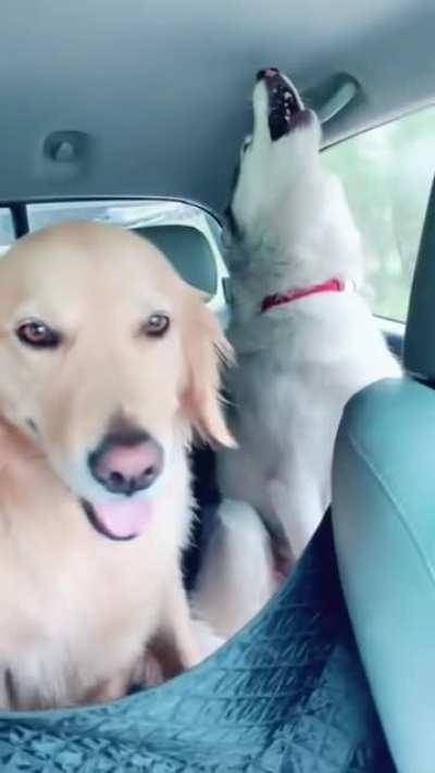 going to a road trip with 2 boys and one girl,