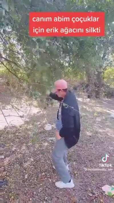 masum olmayan mustafa