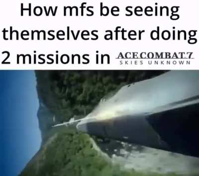 Ace combat is the definition of “it’s not the aircraft, it’s the pilot”