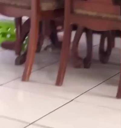 I said no cameras....