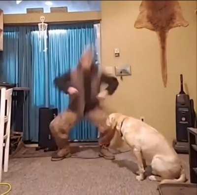 I'm 15 and this is yeet