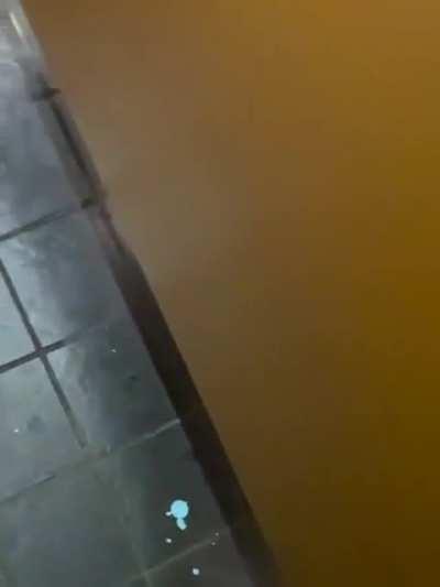 I mean that’s what public toilets are for right?