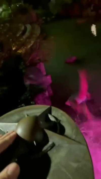 HMC While I faceplant!