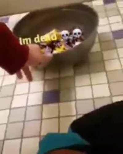 Men's rooms are lawless