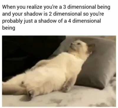 Maybe I don't exist after all