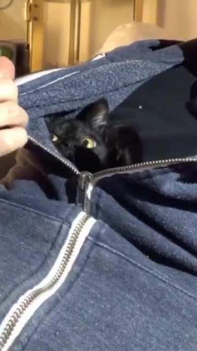 She’s not a morning cat.