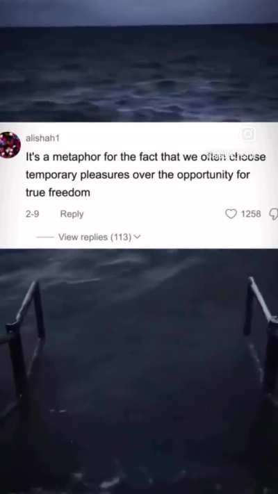 BREAD TASTES BETTER THAN KEY🗣️🔊💯