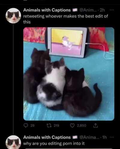 We do a tiny bit of trolling