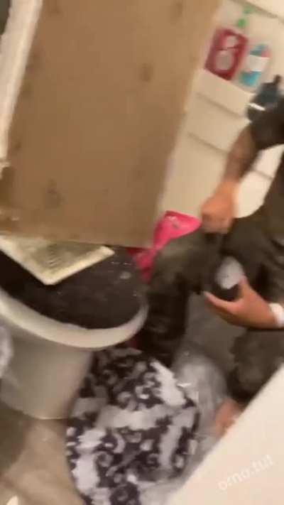 The man in the ceiling