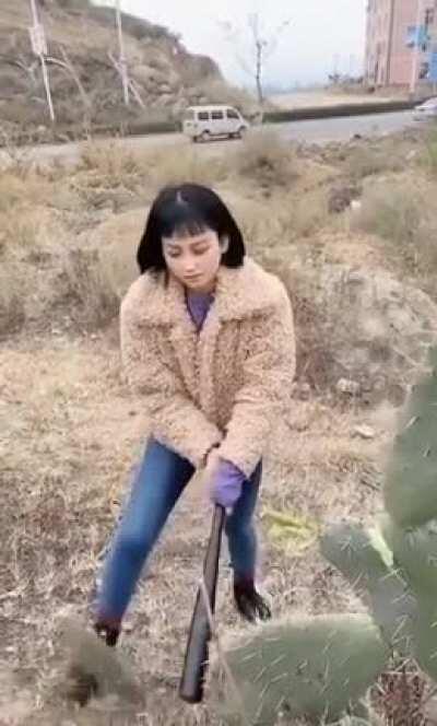 'I'm so bad, I'm going to damage a plant for absolutely no reason'