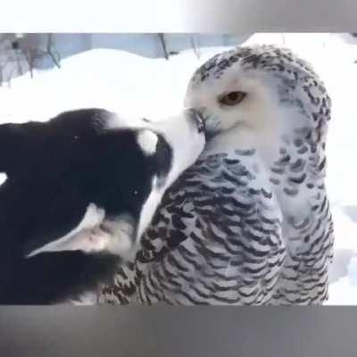 Любовь это...