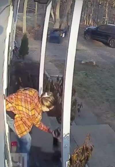 Rabid raccoon attack