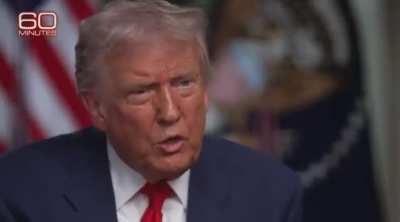 Trump says ICE haven't gone far enough