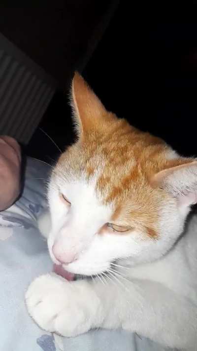 Late-night scratchies.