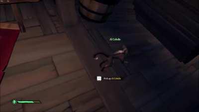 I think my ape hates us