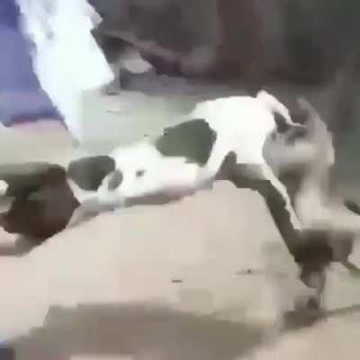 quando vc copia a URL mas esquece do https: