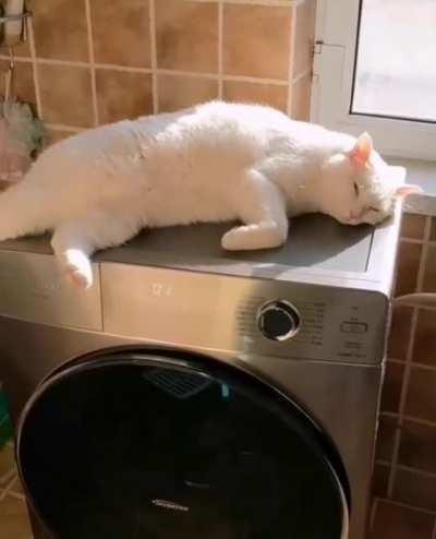 Best seat in the house