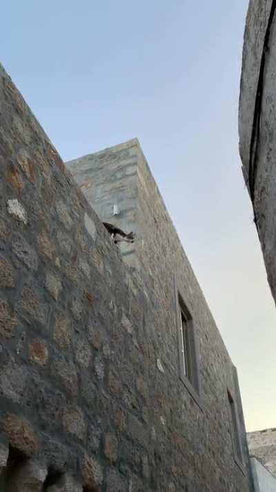 Greek street cat catculates a leap over the lowly human walkway