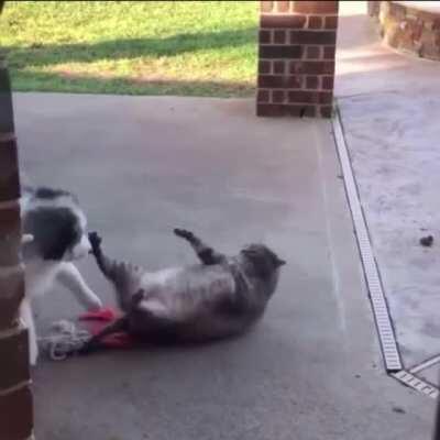 HMF while I defend myself