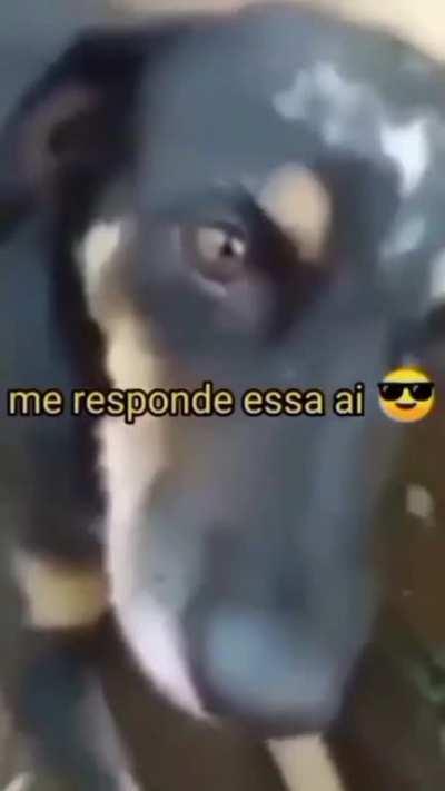 responde ai wanda
