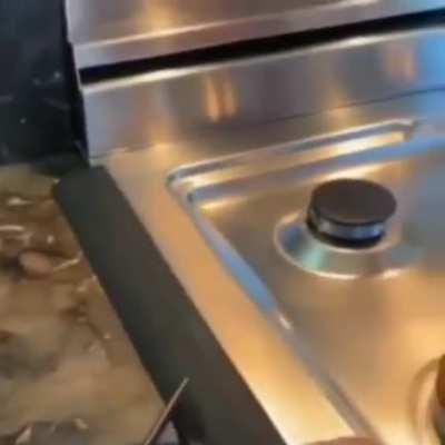 my favorite disney princess