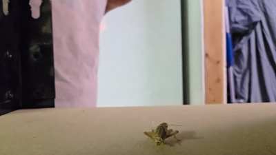 Fist crush anyone? 🥵