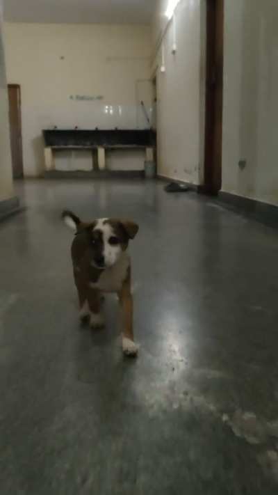 Found a home for that Stranger