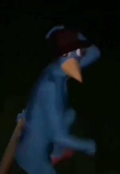 PERRY O ORNITORRINCO!