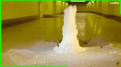 Where did Muta go after deleting his Twitter?