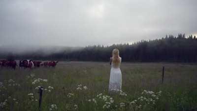 Обычная шведская девушка зовёт коров