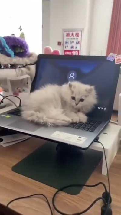 Why can't I blow off this dust bunny from the laptop??