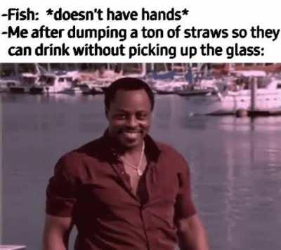 helping out our ocean friends