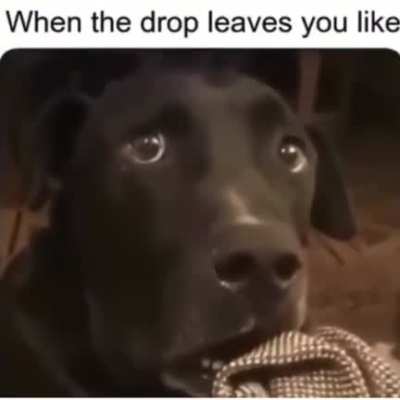 That’s my dawgggg in here 🐶🐩