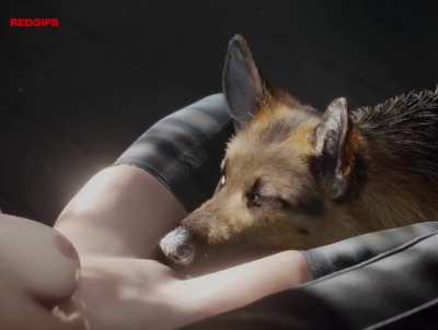 A good boy does it without being told