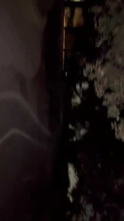 Horny Chinese bitch fucked on a hiking trail with my Korean cock