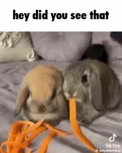 roses are red, i am not fat,