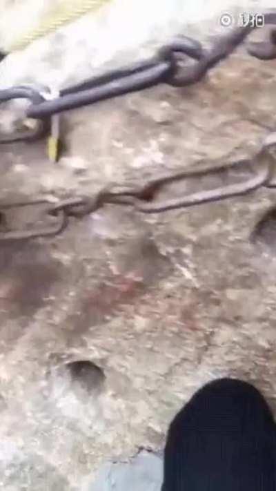 Pulling out my phone and filming would be the last thing on my mind