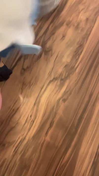 genshin impact furina arlecchino futanari compilation