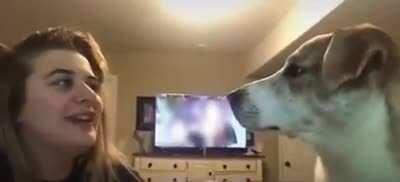 stop copying me hooman