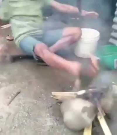 So dor e sofrimento 😭