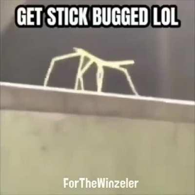 So sad Albania 🇦🇱