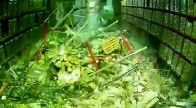 He just wanted to squeeze through