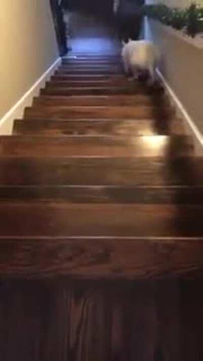 He jumped down the stairs