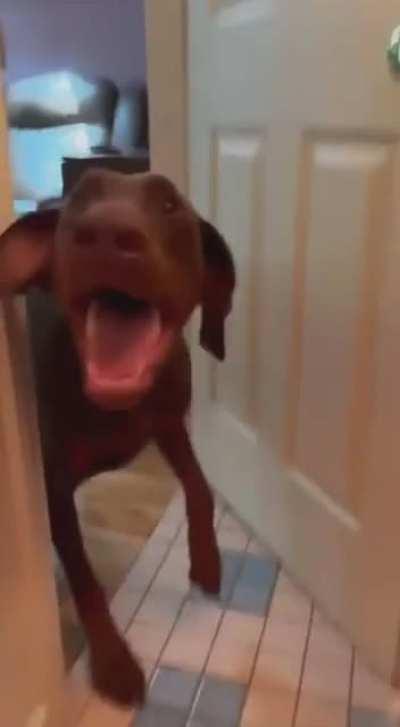 That kick looked personal