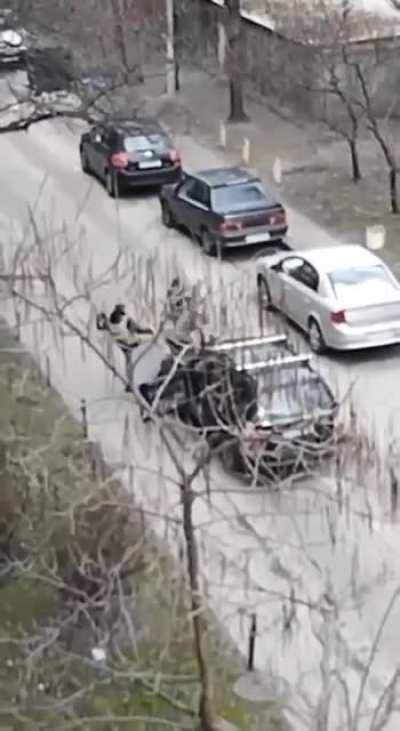 This is what happens when civilians are given weapons