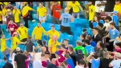 Nunez Fighting the Crowd