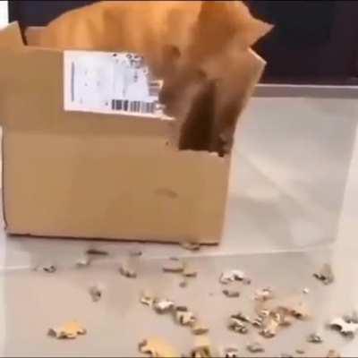 this is Artemy fr fr