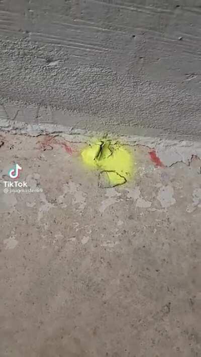 24k gold plated bug worth 750k 🥶