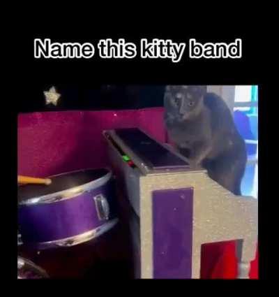 These guys fucking suck.