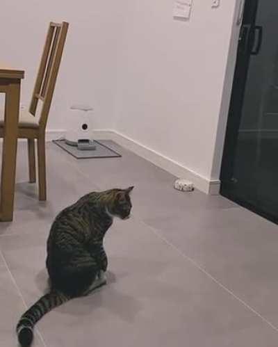 Mental state of Virat Kohli right now